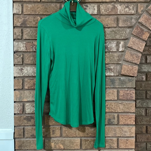 Aritzia⭐️Freshman turtleneck♥️EUC - Picture 3 of 8